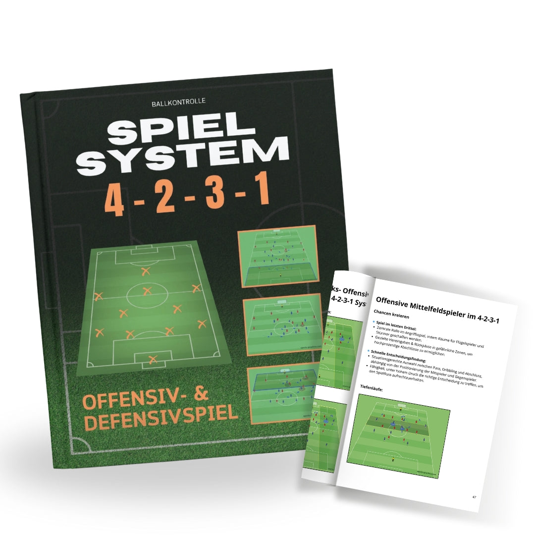 Spielsystem 4-2-3-1 (Offensiv & Defensiv)